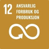 12-ansvarlig